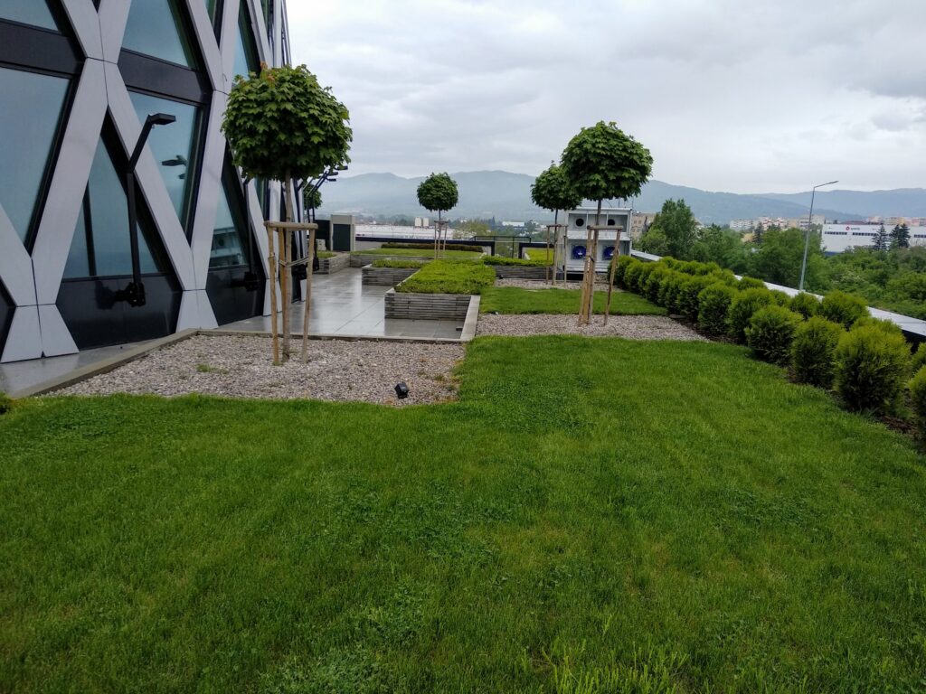 Green roof