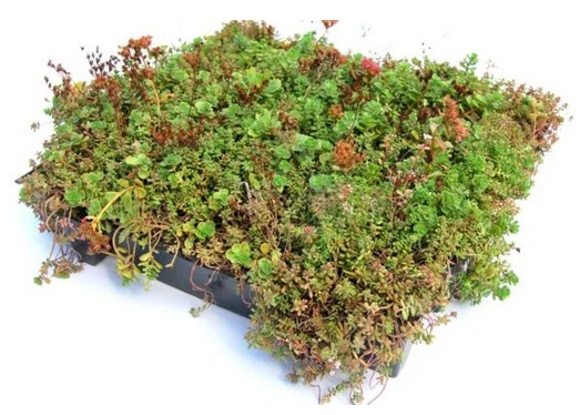 Green module