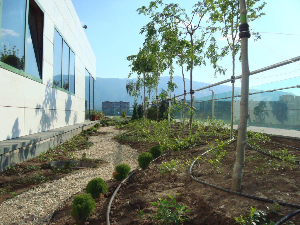 Green roof